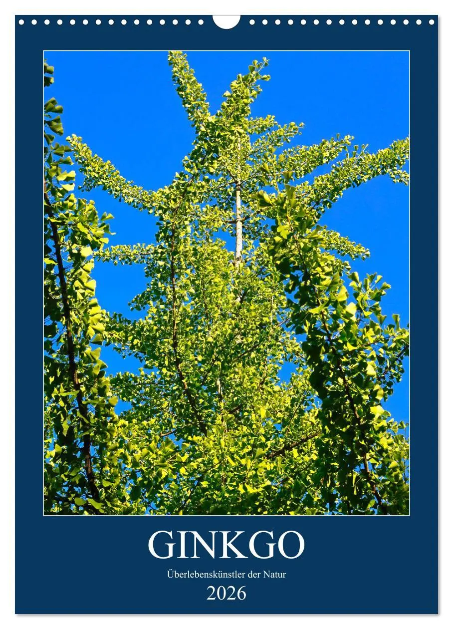 Cover: 9783516401431 | Ginkgo (Wandkalender 2026 DIN A3 hoch), CALVENDO Monatskalender | 2026