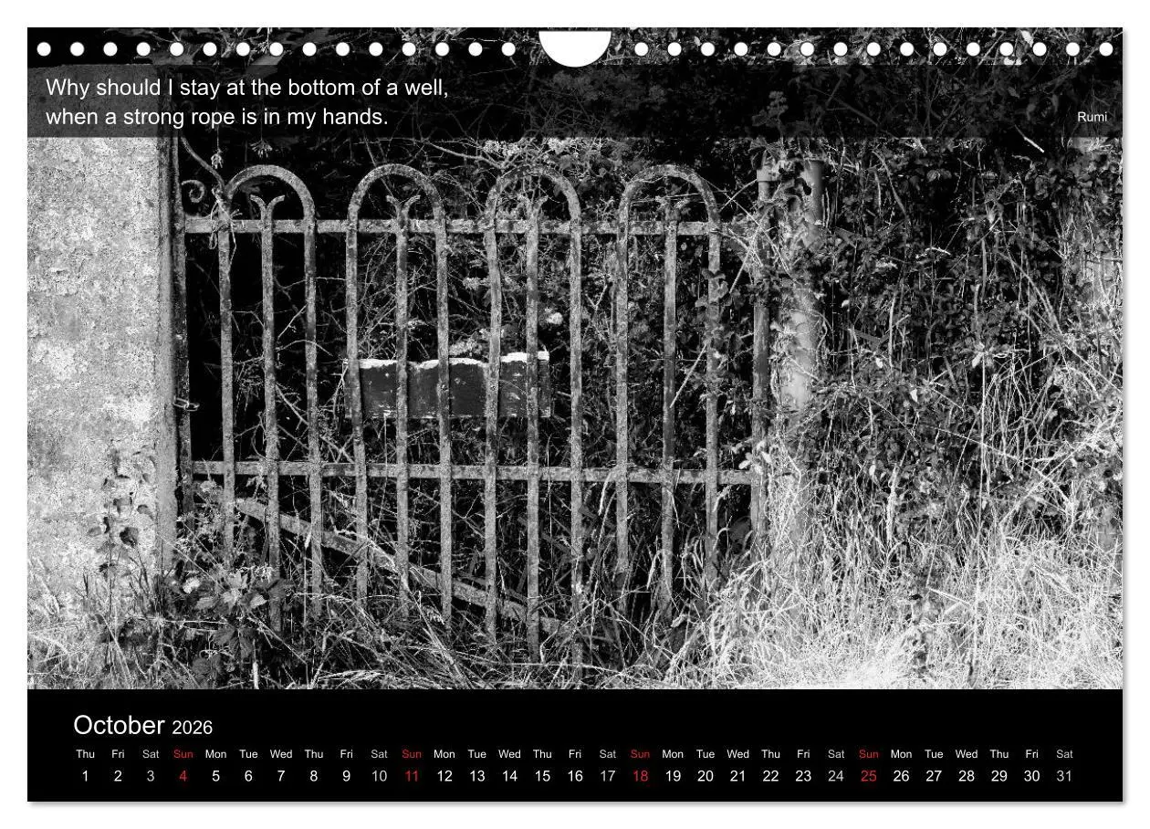 Bild: 9783516571431 | Through the Gate with Rumi (Wall Calendar 2026 DIN A4 landscape),...