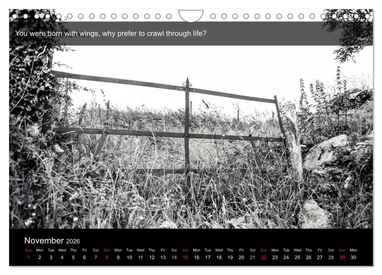 Bild: 9783516571431 | Through the Gate with Rumi (Wall Calendar 2026 DIN A4 landscape),...