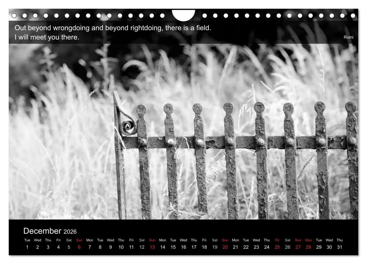 Bild: 9783516571431 | Through the Gate with Rumi (Wall Calendar 2026 DIN A4 landscape),...