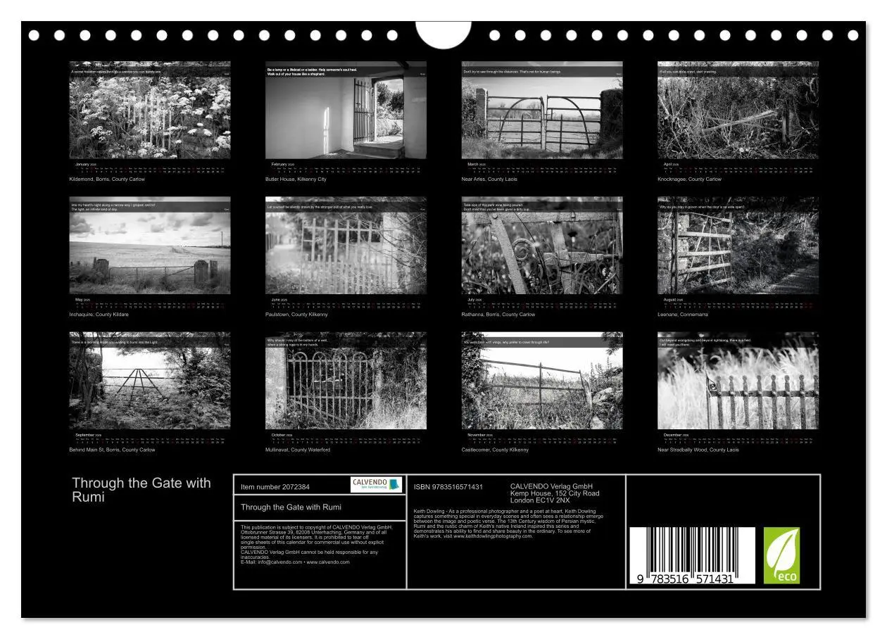 Bild: 9783516571431 | Through the Gate with Rumi (Wall Calendar 2026 DIN A4 landscape),...