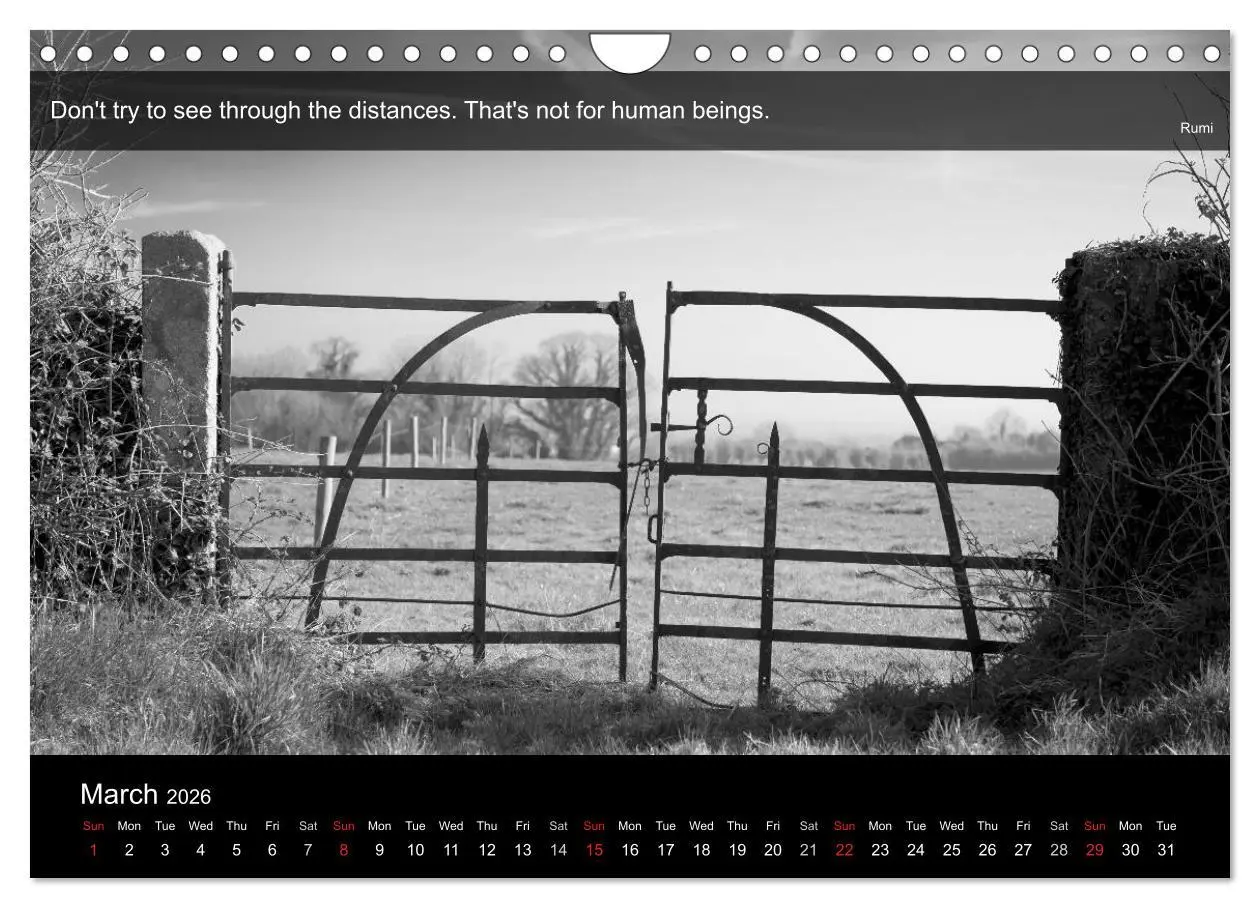 Bild: 9783516571431 | Through the Gate with Rumi (Wall Calendar 2026 DIN A4 landscape),...