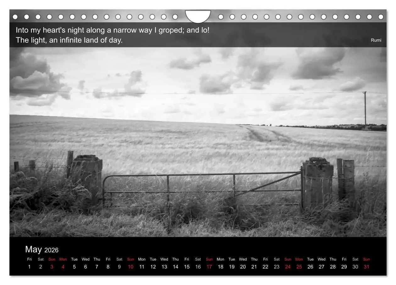 Bild: 9783516571431 | Through the Gate with Rumi (Wall Calendar 2026 DIN A4 landscape),...