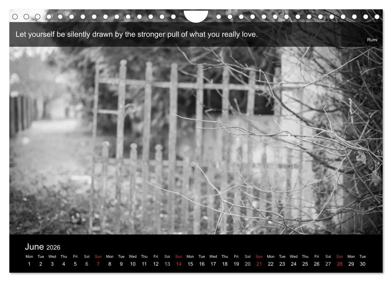 Bild: 9783516571431 | Through the Gate with Rumi (Wall Calendar 2026 DIN A4 landscape),...