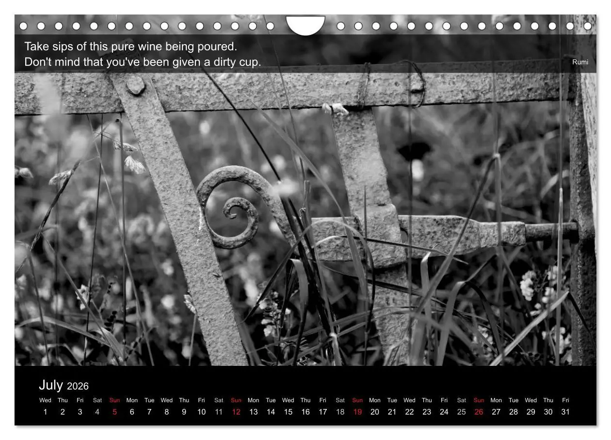 Bild: 9783516571431 | Through the Gate with Rumi (Wall Calendar 2026 DIN A4 landscape),...
