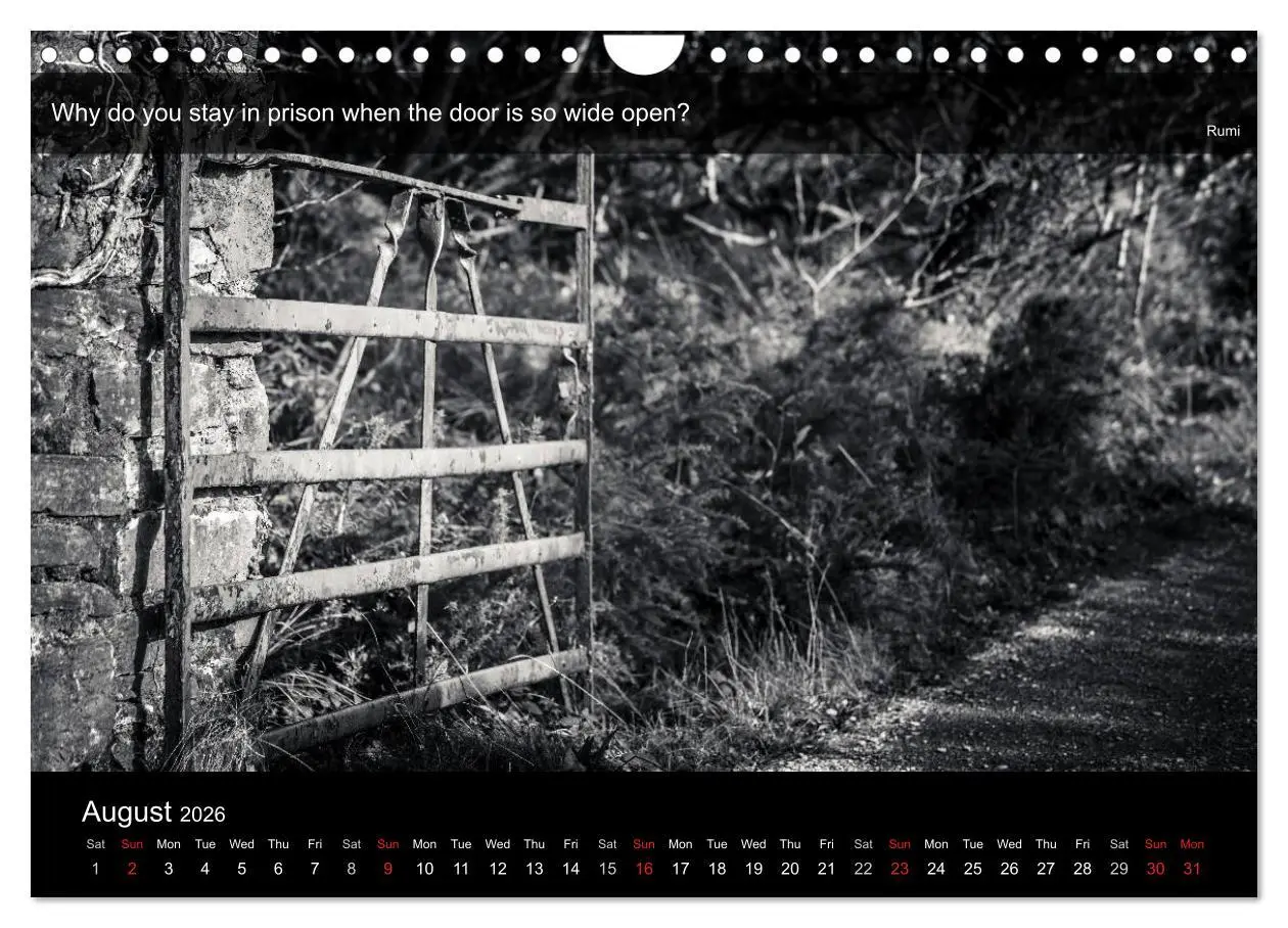 Bild: 9783516571431 | Through the Gate with Rumi (Wall Calendar 2026 DIN A4 landscape),...