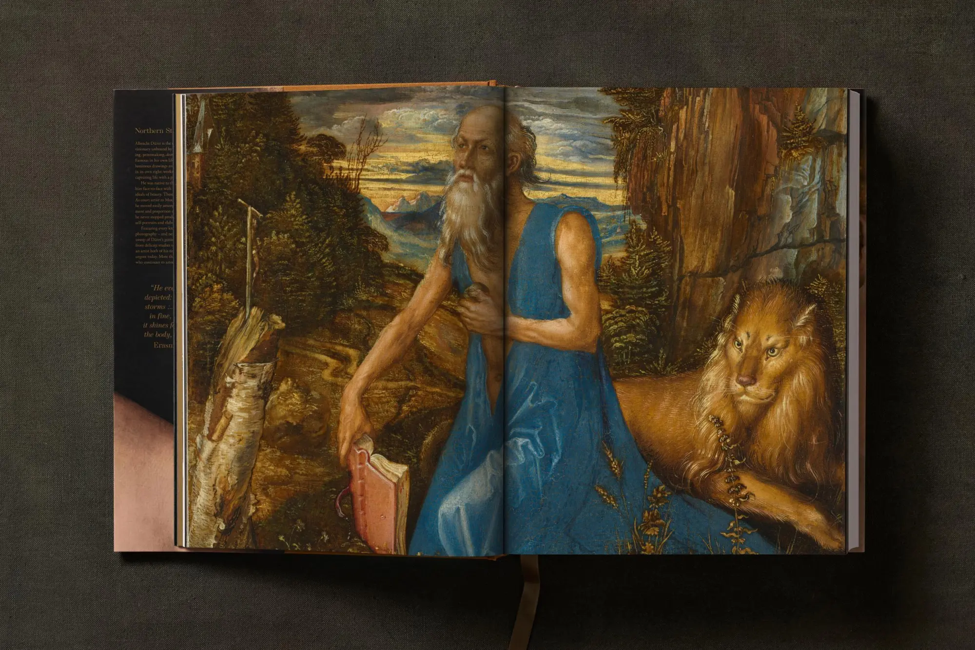 Bild: 9783836581431 | Albrecht Dürer. Sämtliche Gemälde. Ausgewählte Zeichnungen und...