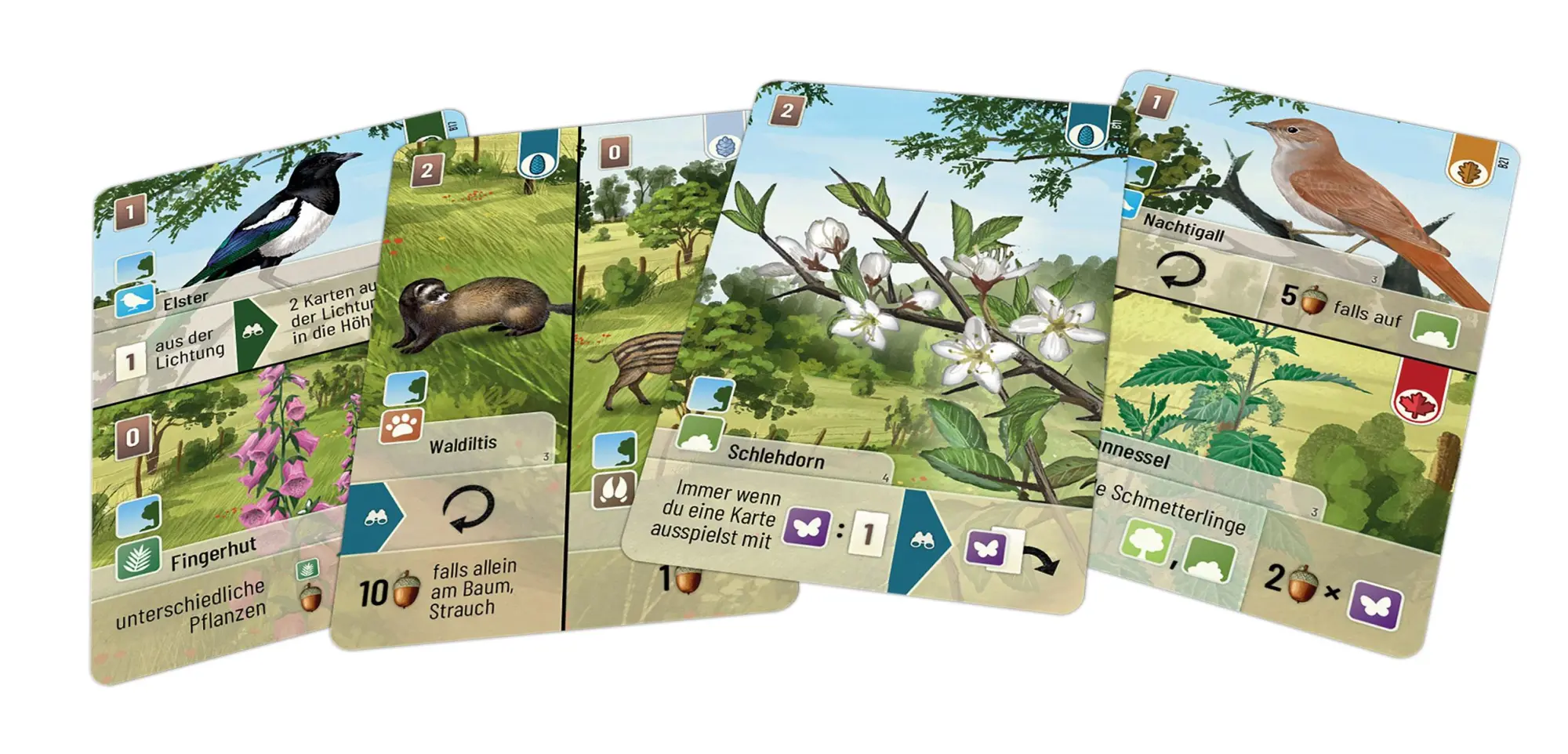 Bild: 4260402311531 | Mischwald - Waldrand | Kosch | Spiel | LOOD0065 | Deutsch | 2025