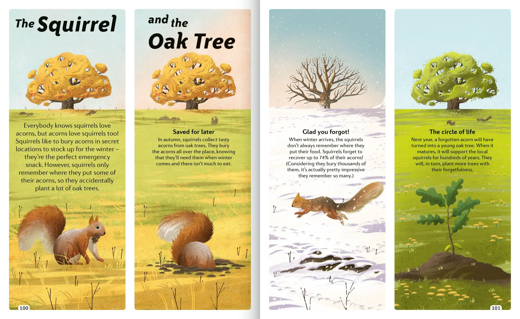 Bild: 9781838991531 | Animal Sidekicks | Amazing Stories of Symbiosis in Animals and Plants