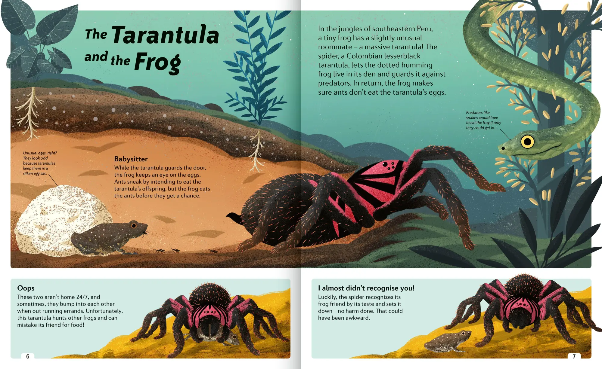Bild: 9781838991531 | Animal Sidekicks | Amazing Stories of Symbiosis in Animals and Plants