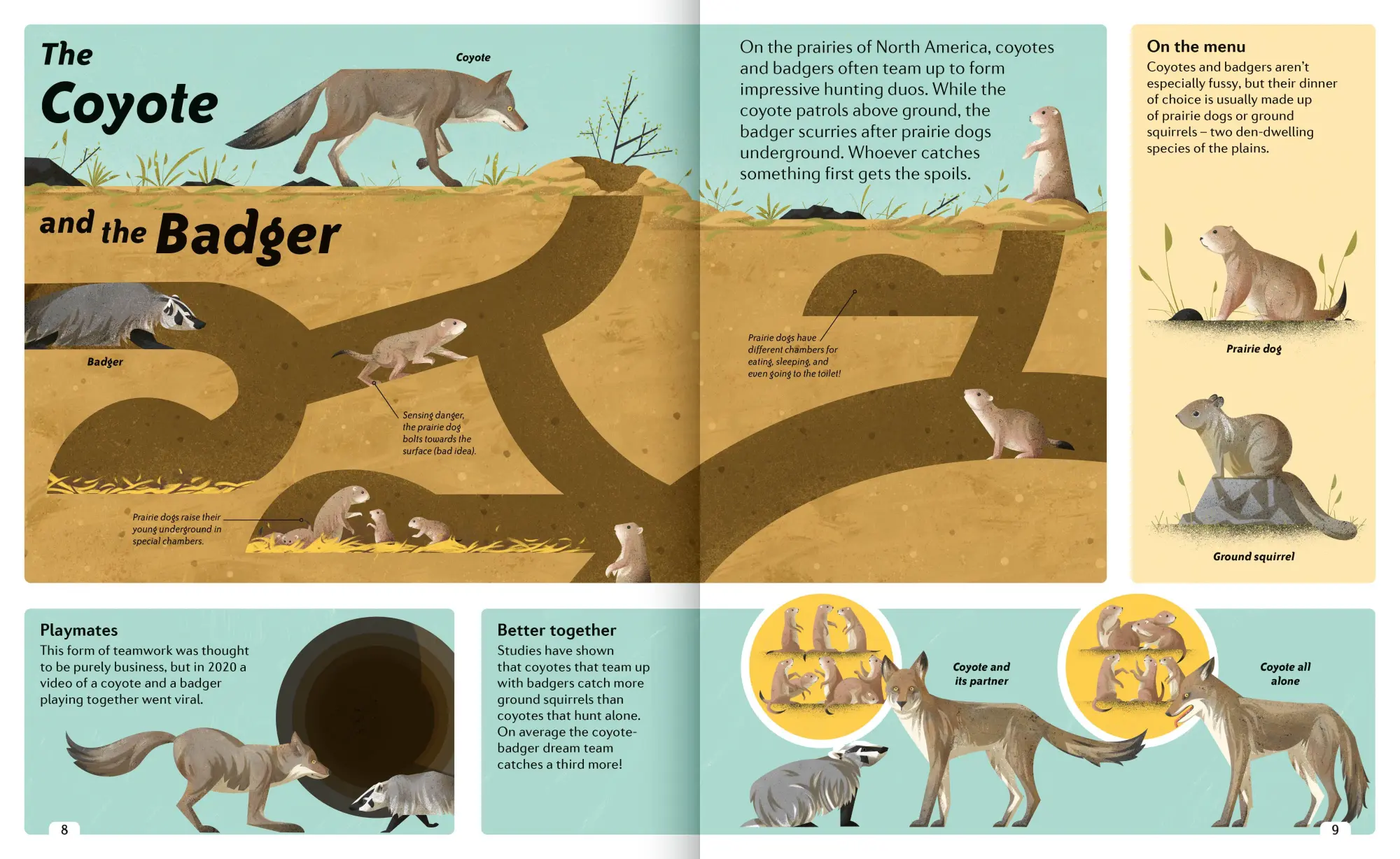 Bild: 9781838991531 | Animal Sidekicks | Amazing Stories of Symbiosis in Animals and Plants