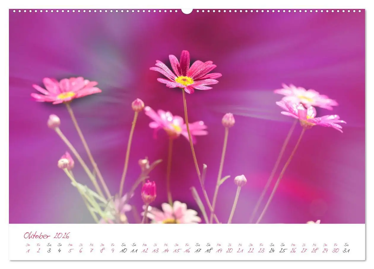 Bild: 9783457781531 | Blütenträume in violett und pink (Wandkalender 2026 DIN A2 quer),...