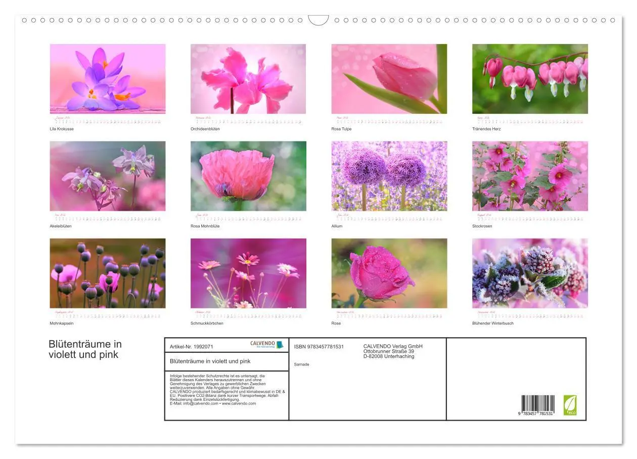 Bild: 9783457781531 | Blütenträume in violett und pink (Wandkalender 2026 DIN A2 quer),...