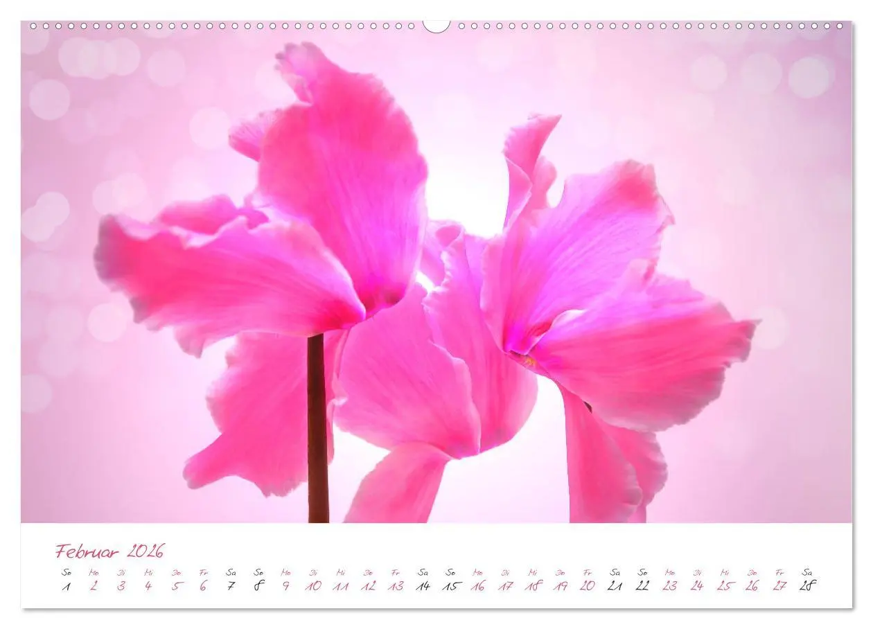 Bild: 9783457781531 | Blütenträume in violett und pink (Wandkalender 2026 DIN A2 quer),...