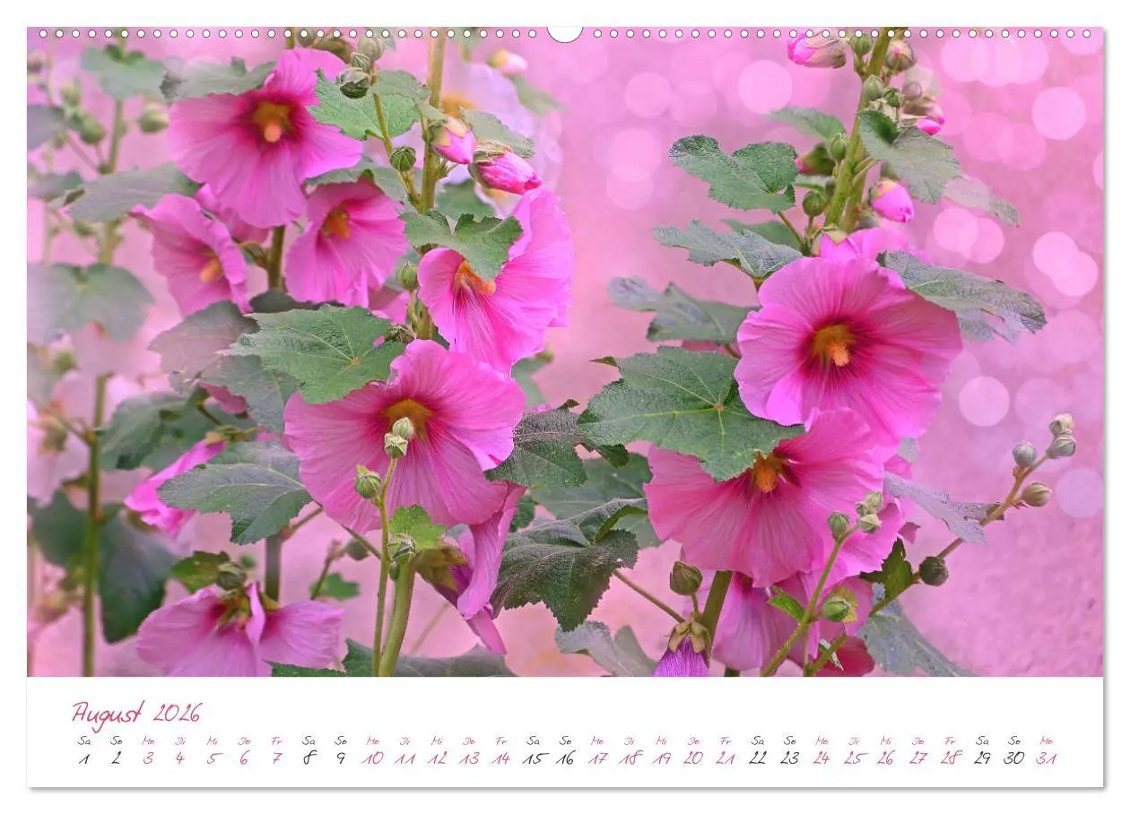Bild: 9783457781531 | Blütenträume in violett und pink (Wandkalender 2026 DIN A2 quer),...