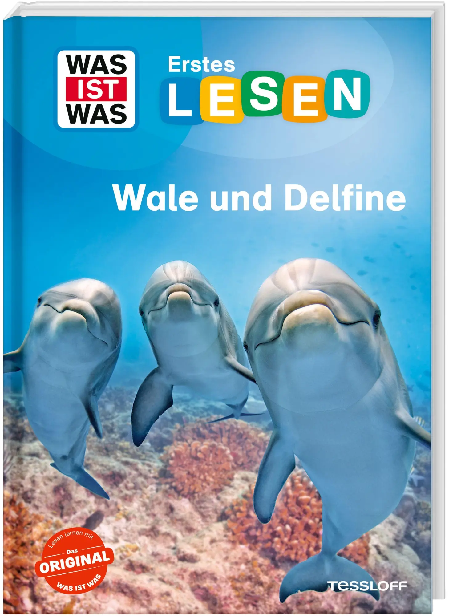 Cover: 9783788681531 | WAS IST WAS Erstes Lesen. Wale und Delfine | Christina Braun | Buch