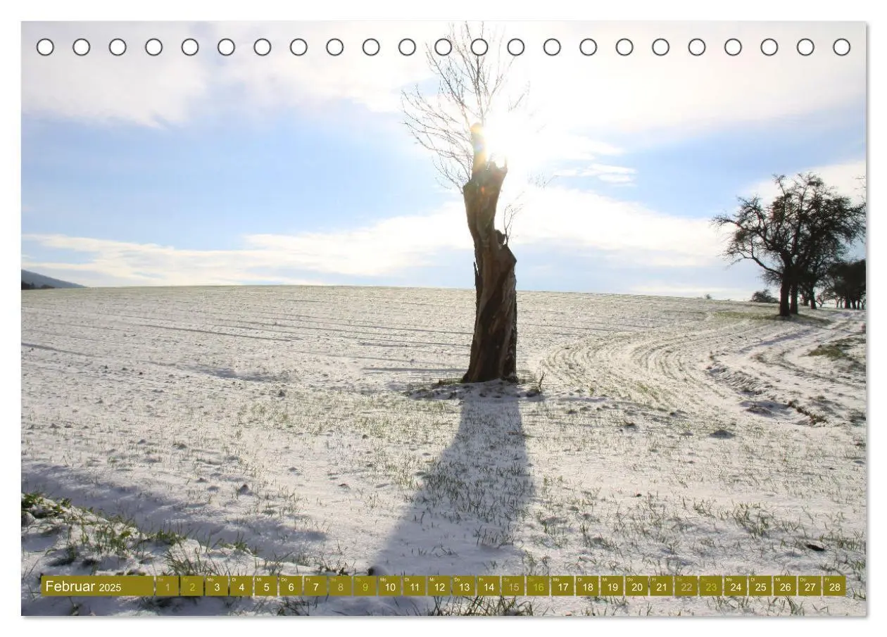 Bild: 9783435061631 | Apfelbaum und Streuobstwiesen (Tischkalender 2025 DIN A5 quer),...