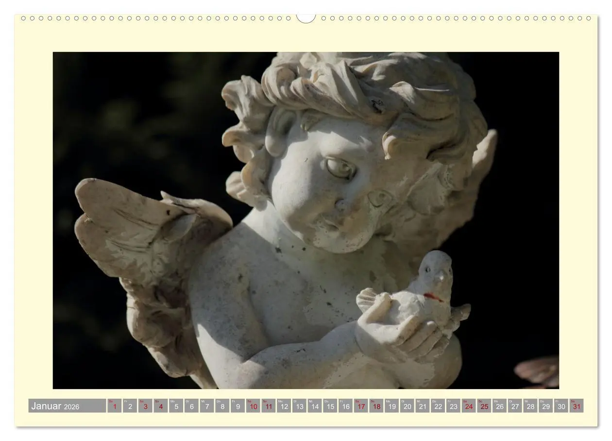 Bild: 9783457531631 | Die Wärme der Engel (hochwertiger Premium Wandkalender 2026 DIN A2...