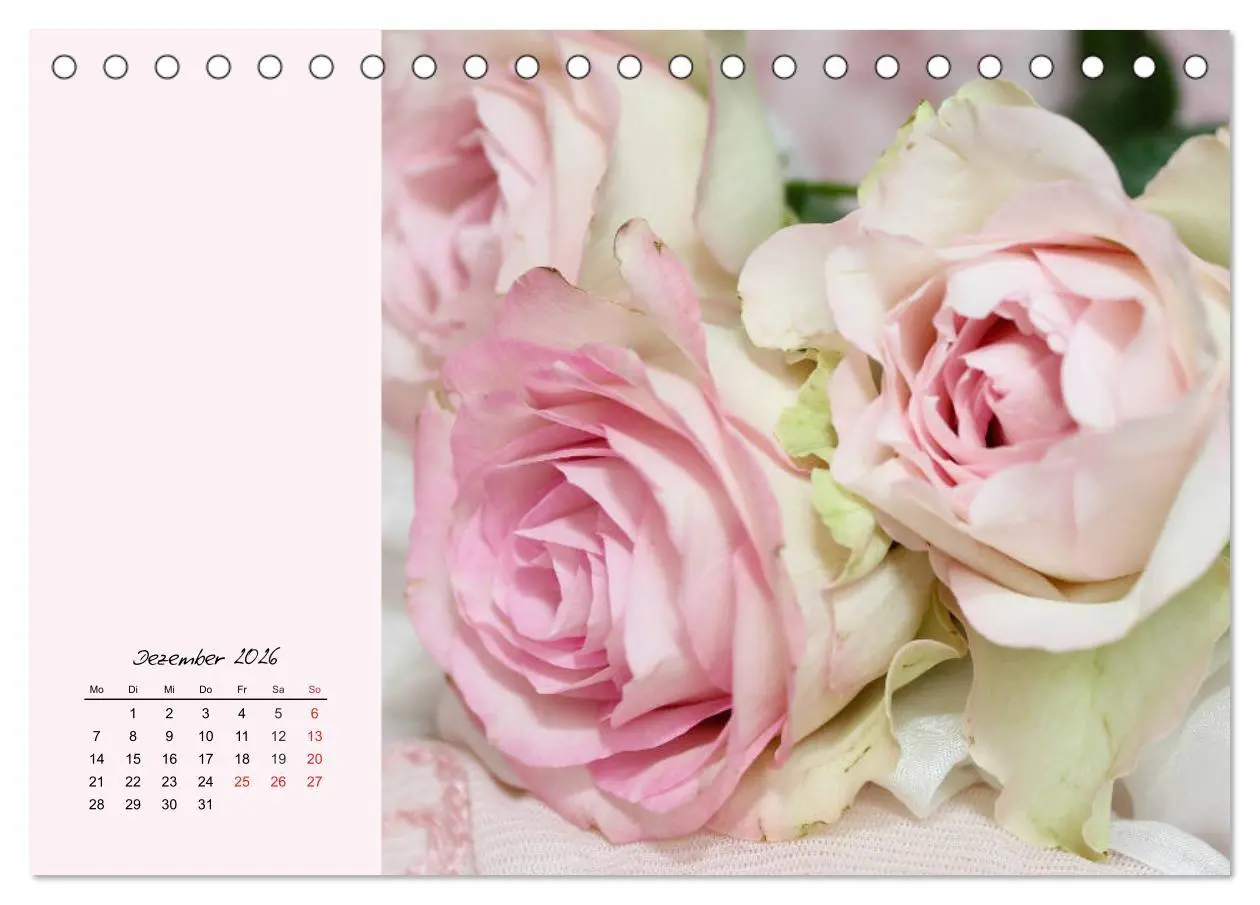 Bild: 9783457771631 | Rosen. Charmante und edle Königinnen (Tischkalender 2026 DIN A5...