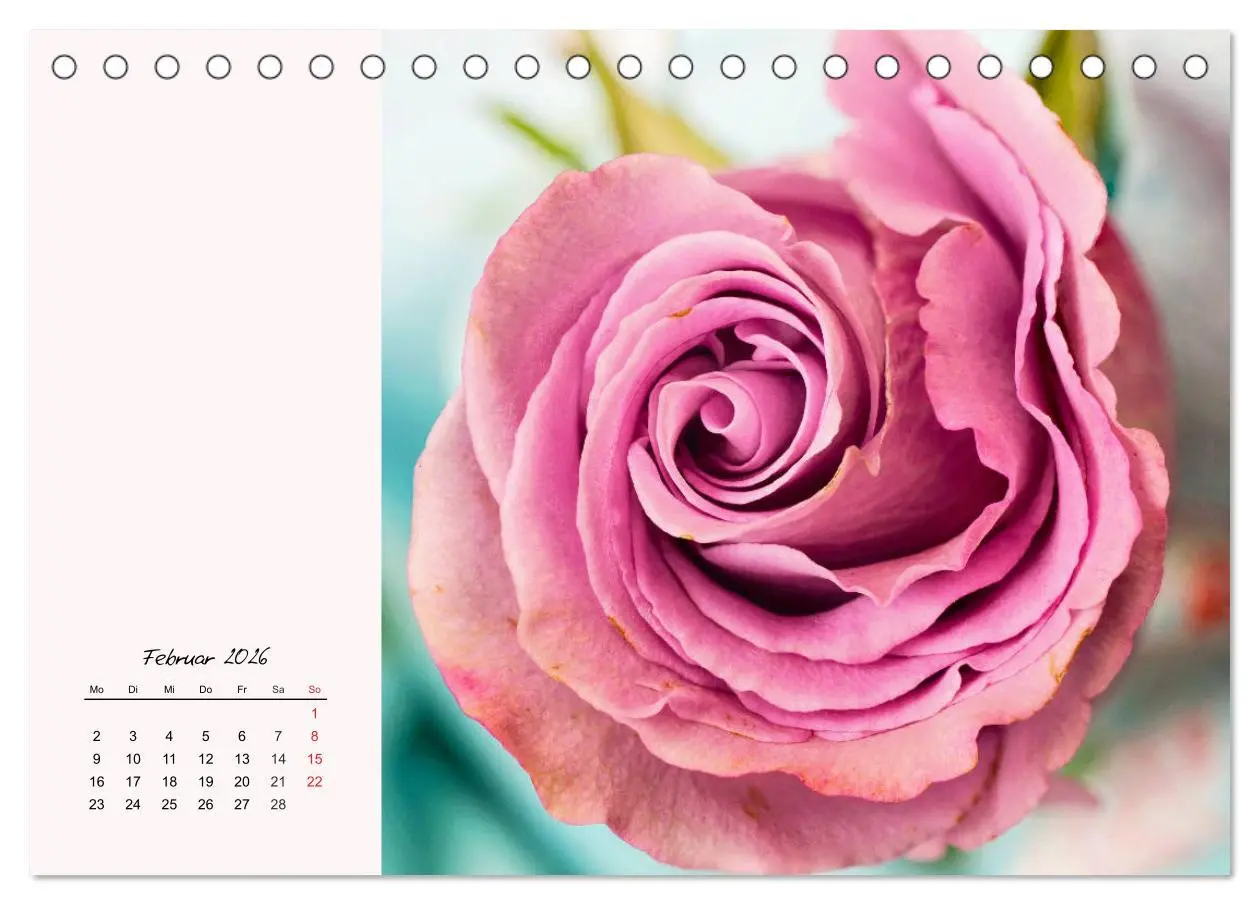 Bild: 9783457771631 | Rosen. Charmante und edle Königinnen (Tischkalender 2026 DIN A5...