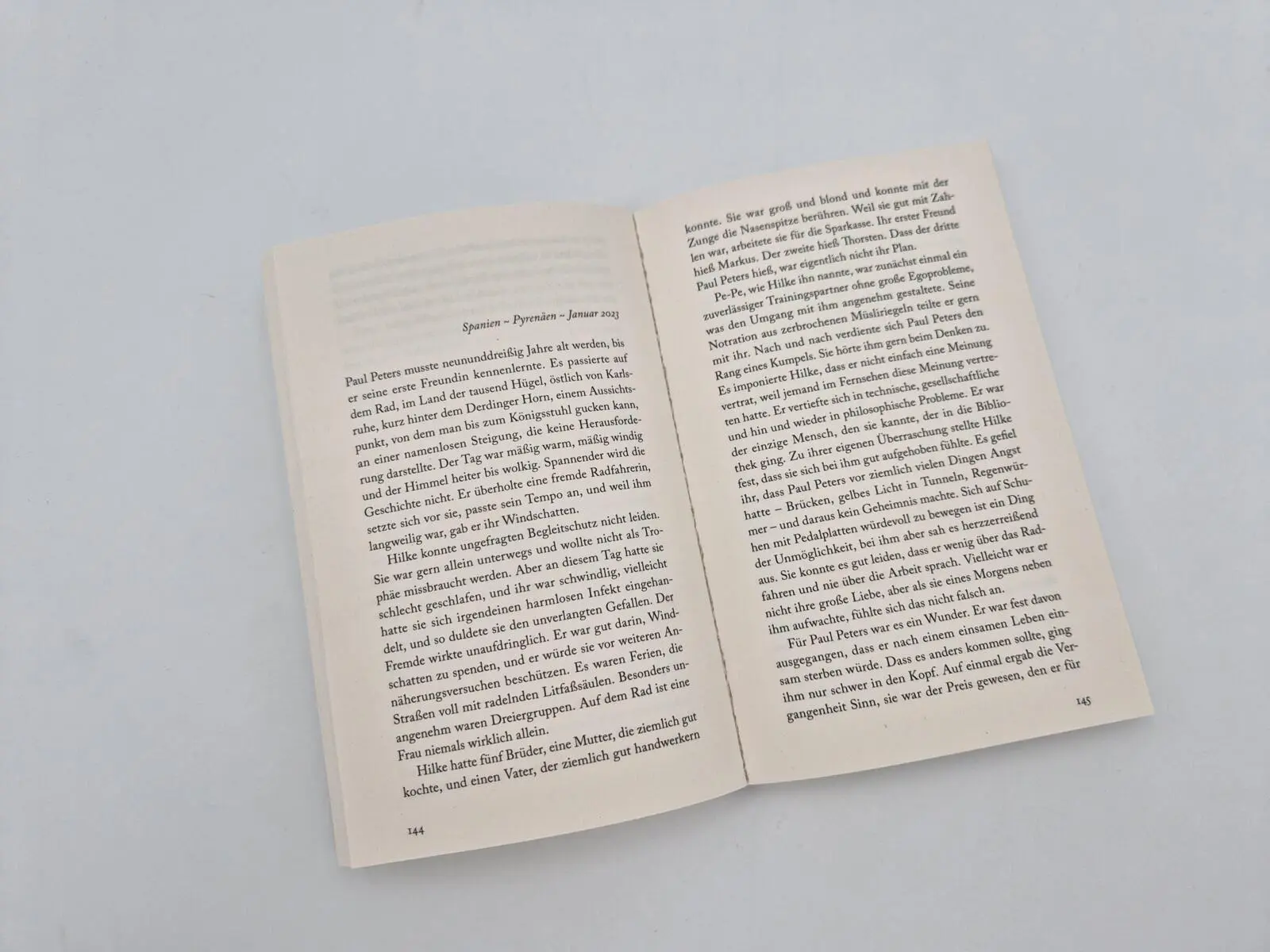 Bild: 9783492321631 | Der Schwindel | David Finck | Taschenbuch | 288 S. | Deutsch | 2026