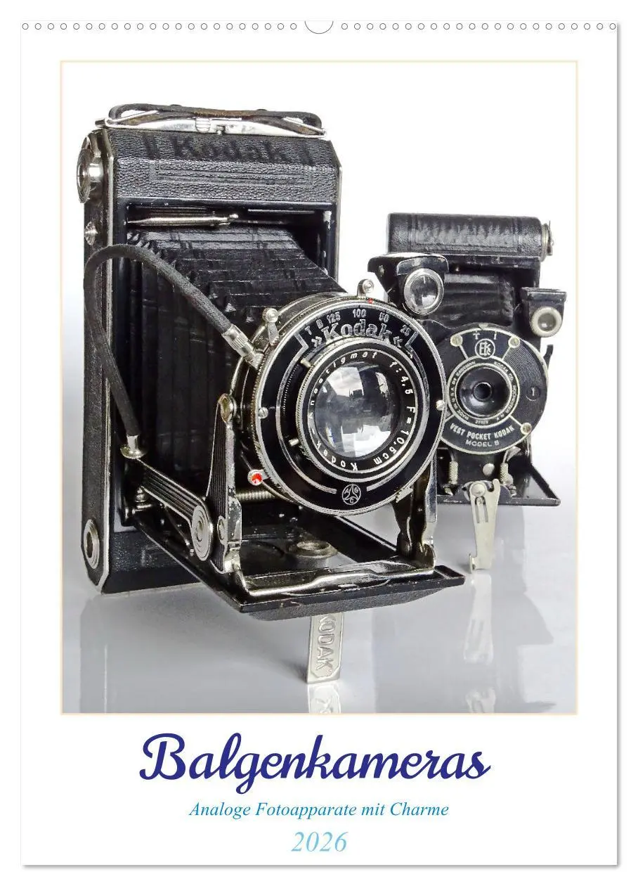 Cover: 9783516311631 | Balgenkameras - Analoge Fotoapparate mit Charme (Wandkalender 2026...