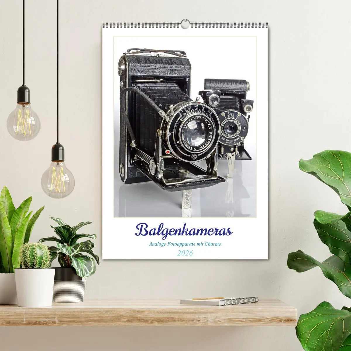 Bild: 9783516311631 | Balgenkameras - Analoge Fotoapparate mit Charme (Wandkalender 2026...