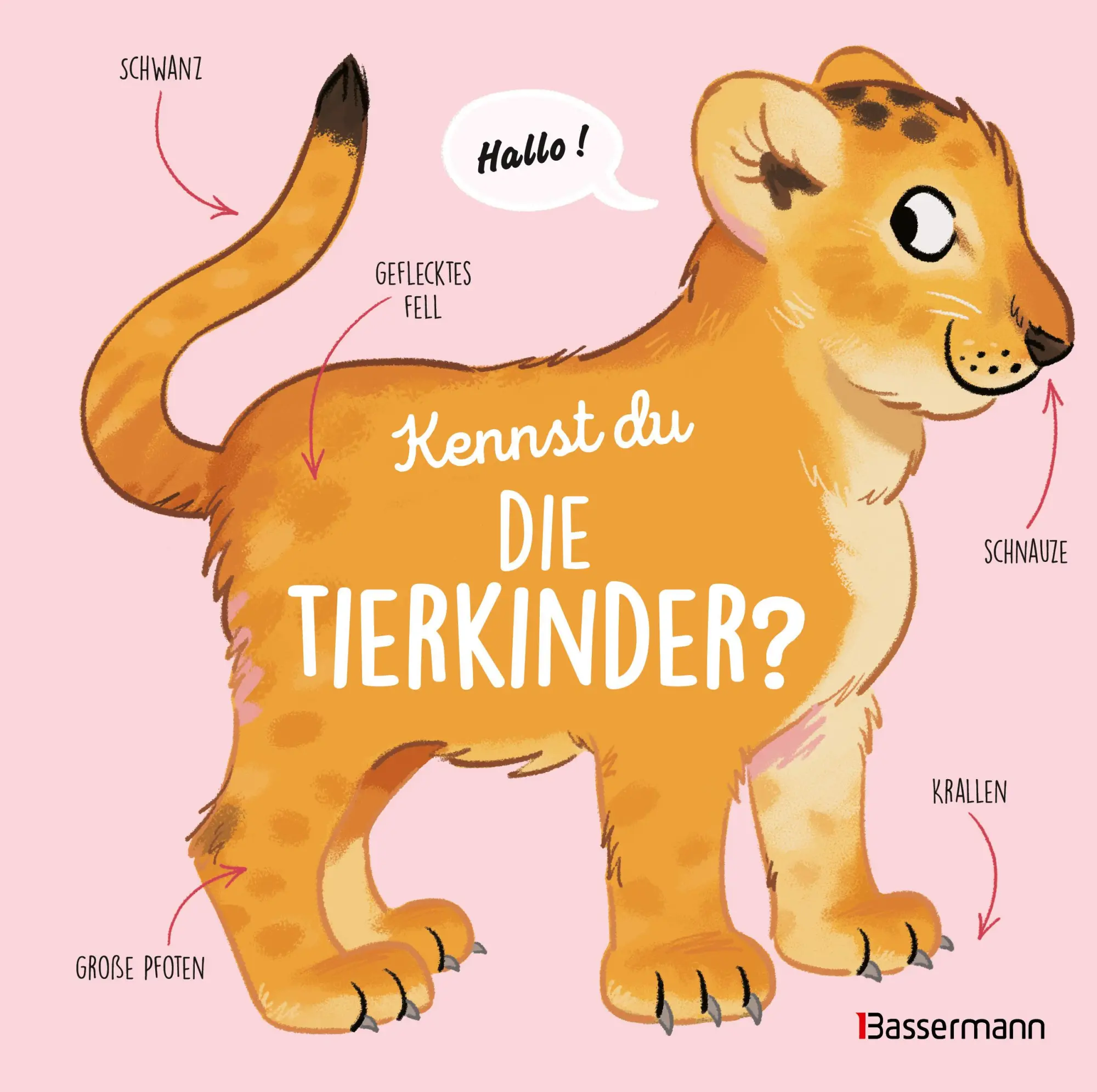 Cover: 9783809451631 | Kennst du die Tierkinder? - Sachbilderbuch für Kinder ab 3 Jahren