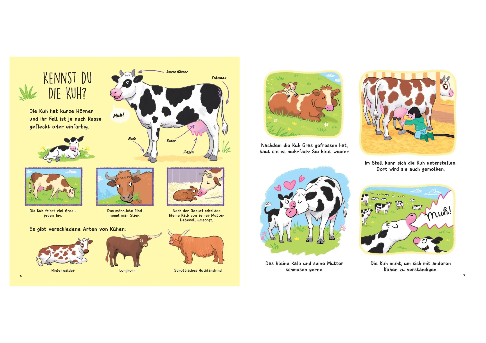 Bild: 9783809451631 | Kennst du die Tierkinder? - Sachbilderbuch für Kinder ab 3 Jahren