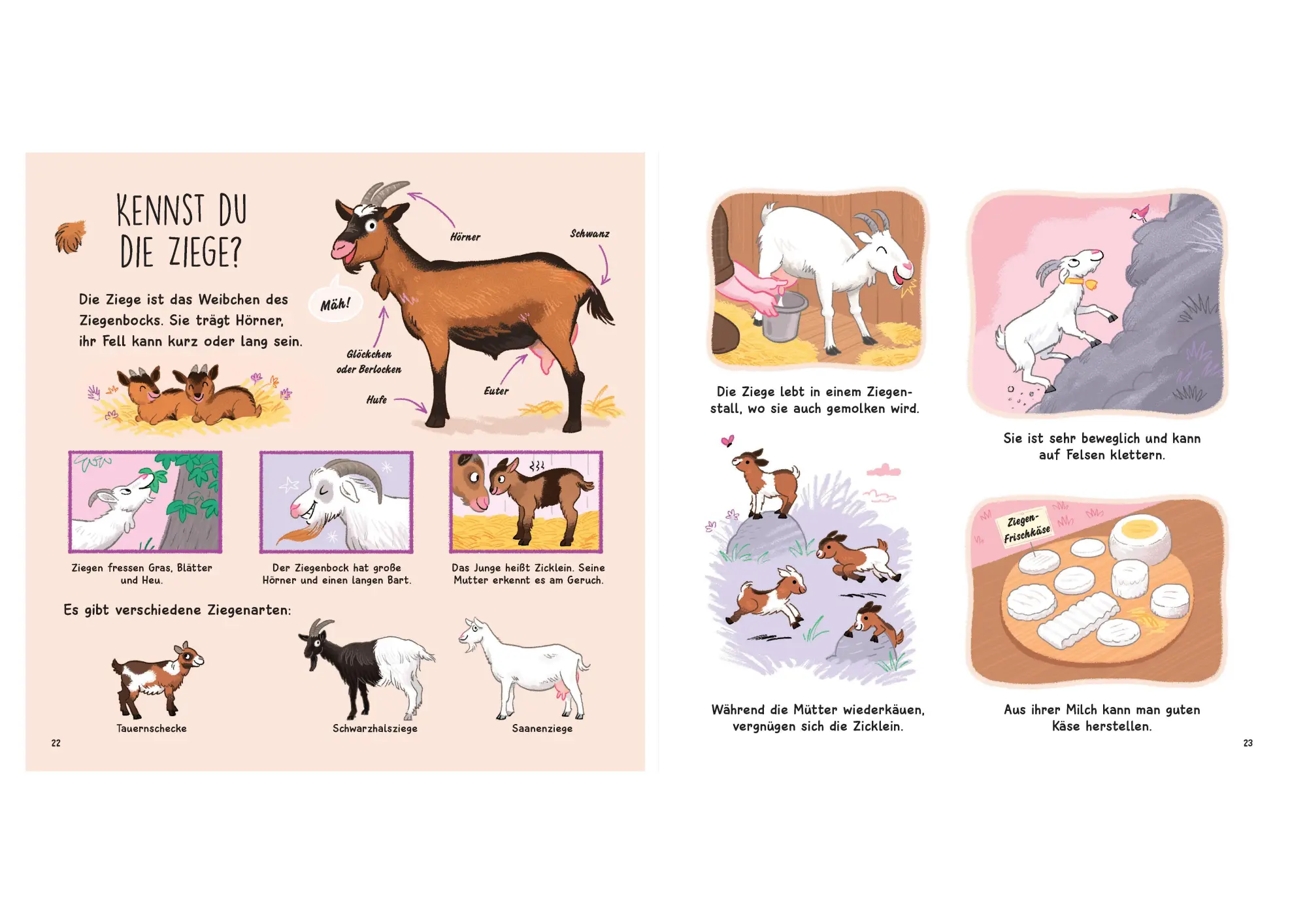 Bild: 9783809451631 | Kennst du die Tierkinder? - Sachbilderbuch für Kinder ab 3 Jahren