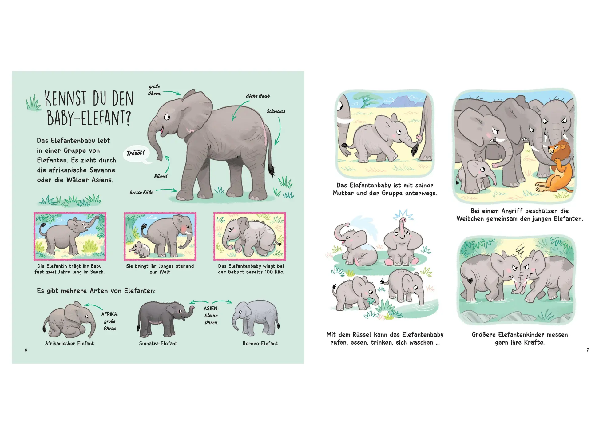 Bild: 9783809451631 | Kennst du die Tierkinder? - Sachbilderbuch für Kinder ab 3 Jahren