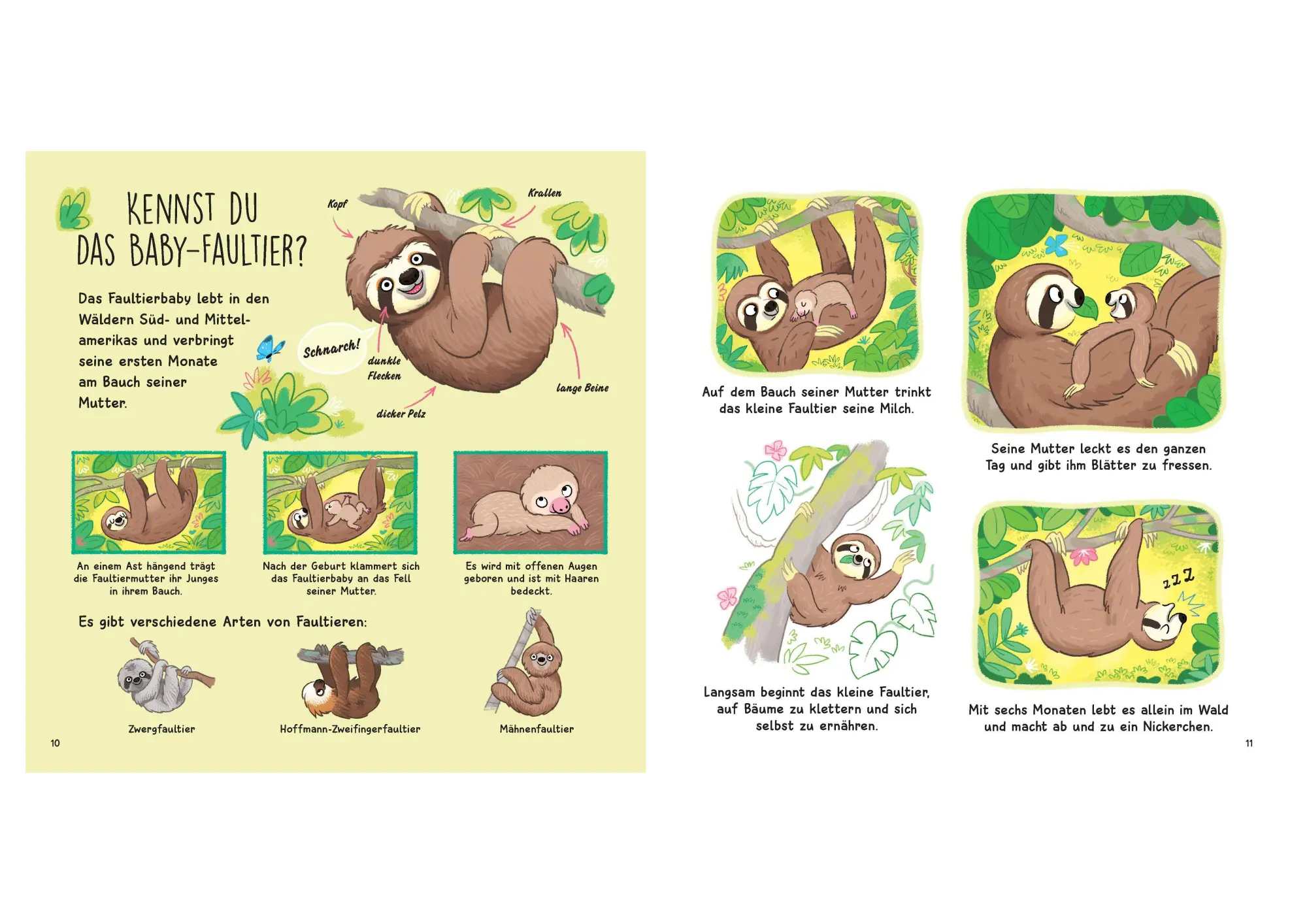 Bild: 9783809451631 | Kennst du die Tierkinder? - Sachbilderbuch für Kinder ab 3 Jahren