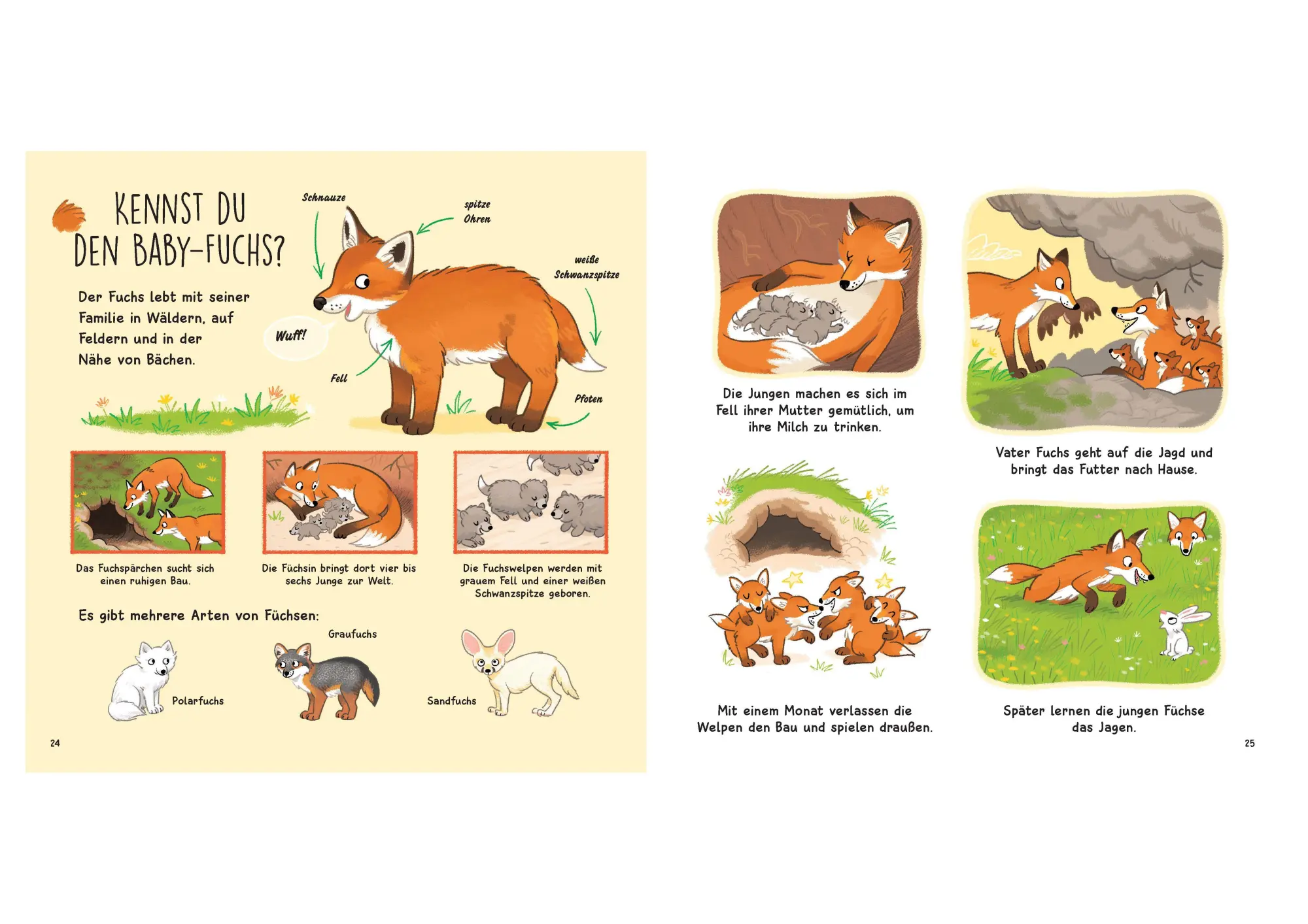 Bild: 9783809451631 | Kennst du die Tierkinder? - Sachbilderbuch für Kinder ab 3 Jahren