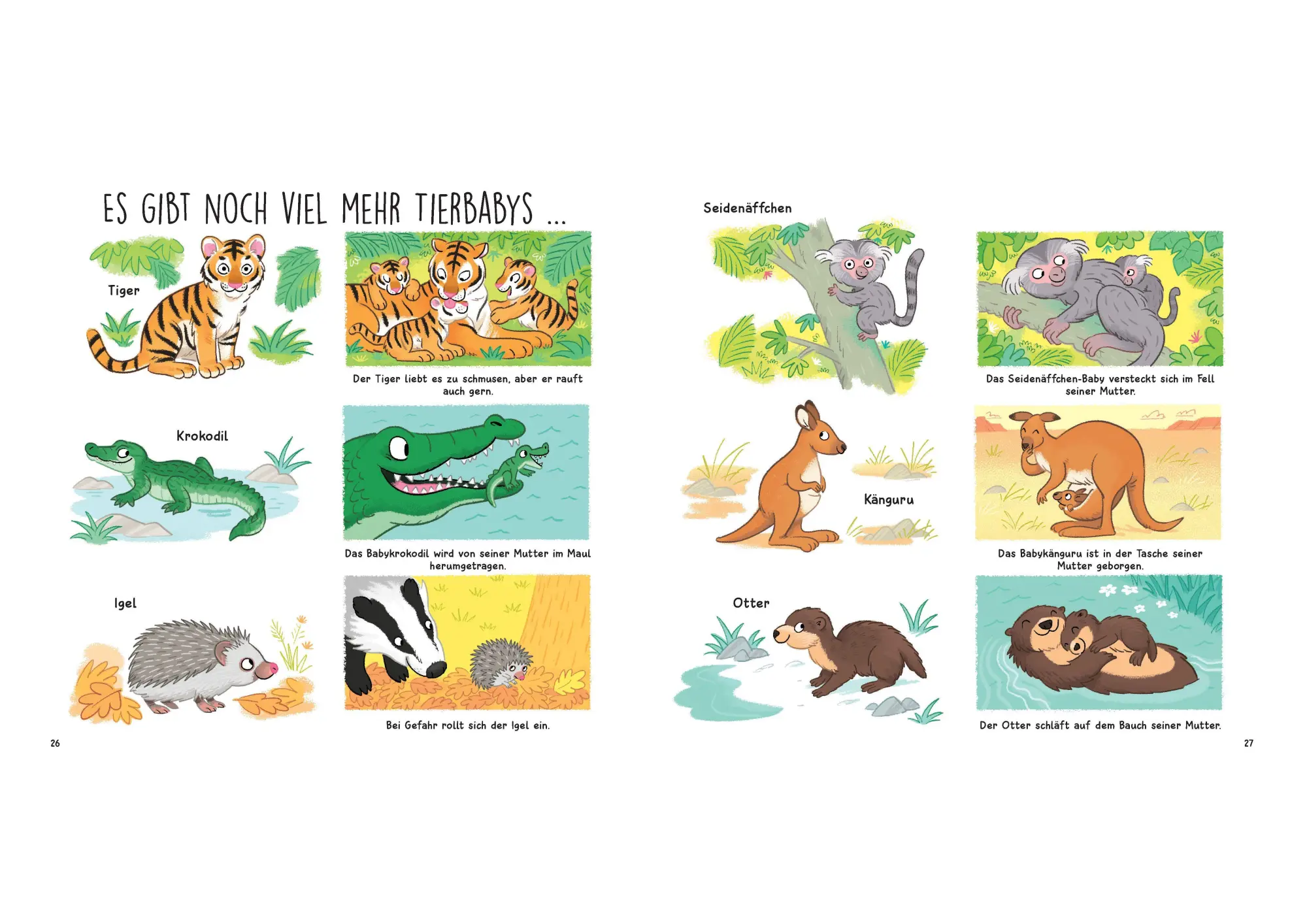 Bild: 9783809451631 | Kennst du die Tierkinder? - Sachbilderbuch für Kinder ab 3 Jahren