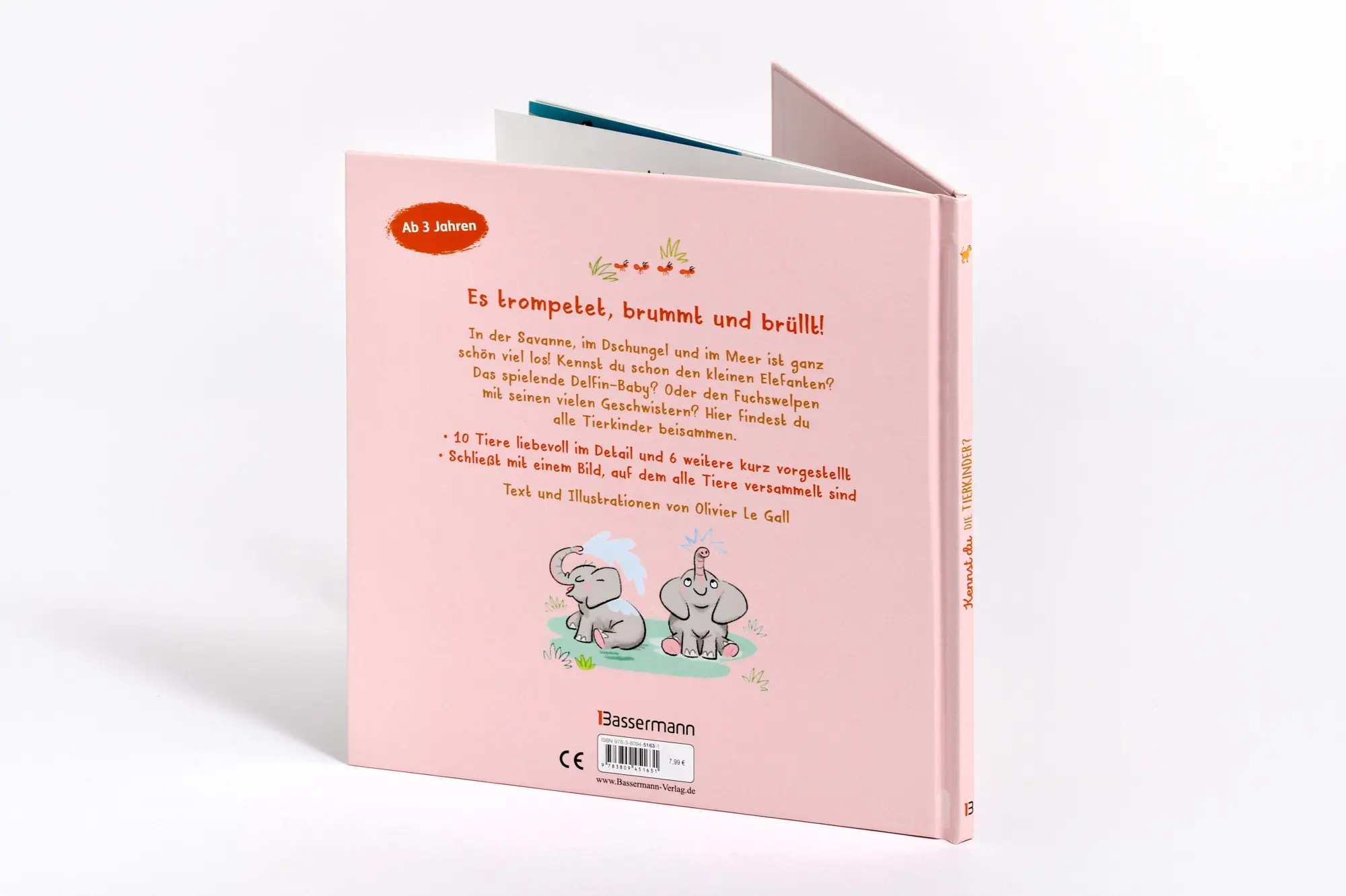 Bild: 9783809451631 | Kennst du die Tierkinder? - Sachbilderbuch für Kinder ab 3 Jahren