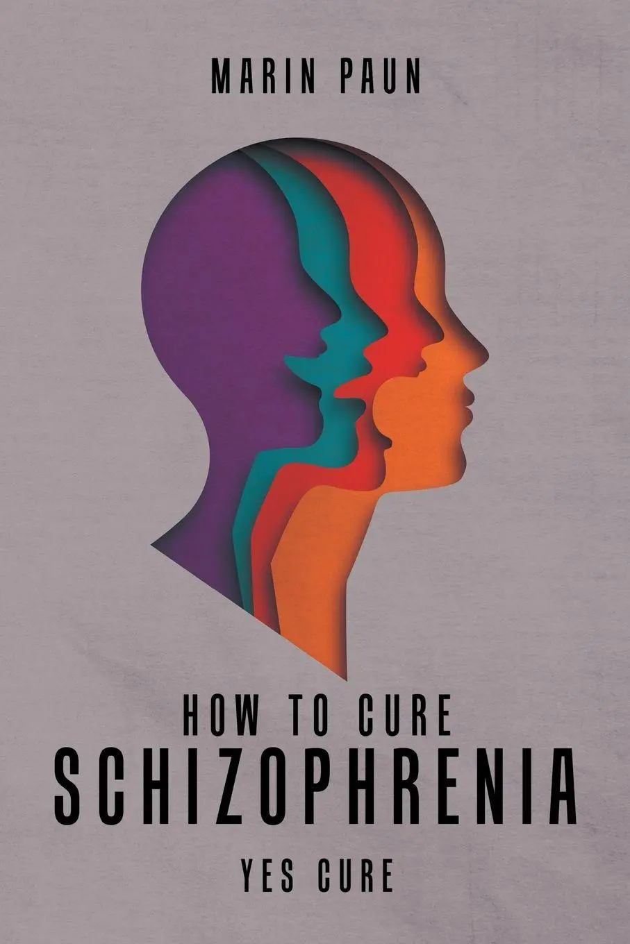 Cover: 9781958381731 | How to Cure Schizophrenia | Yes Cure | Marin Paun | Taschenbuch | 2023