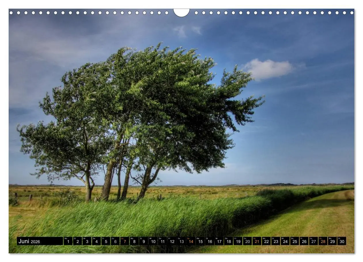 Bild: 9783516161731 | Borkum (Wandkalender 2026 DIN A3 quer), CALVENDO Monatskalender | 2026