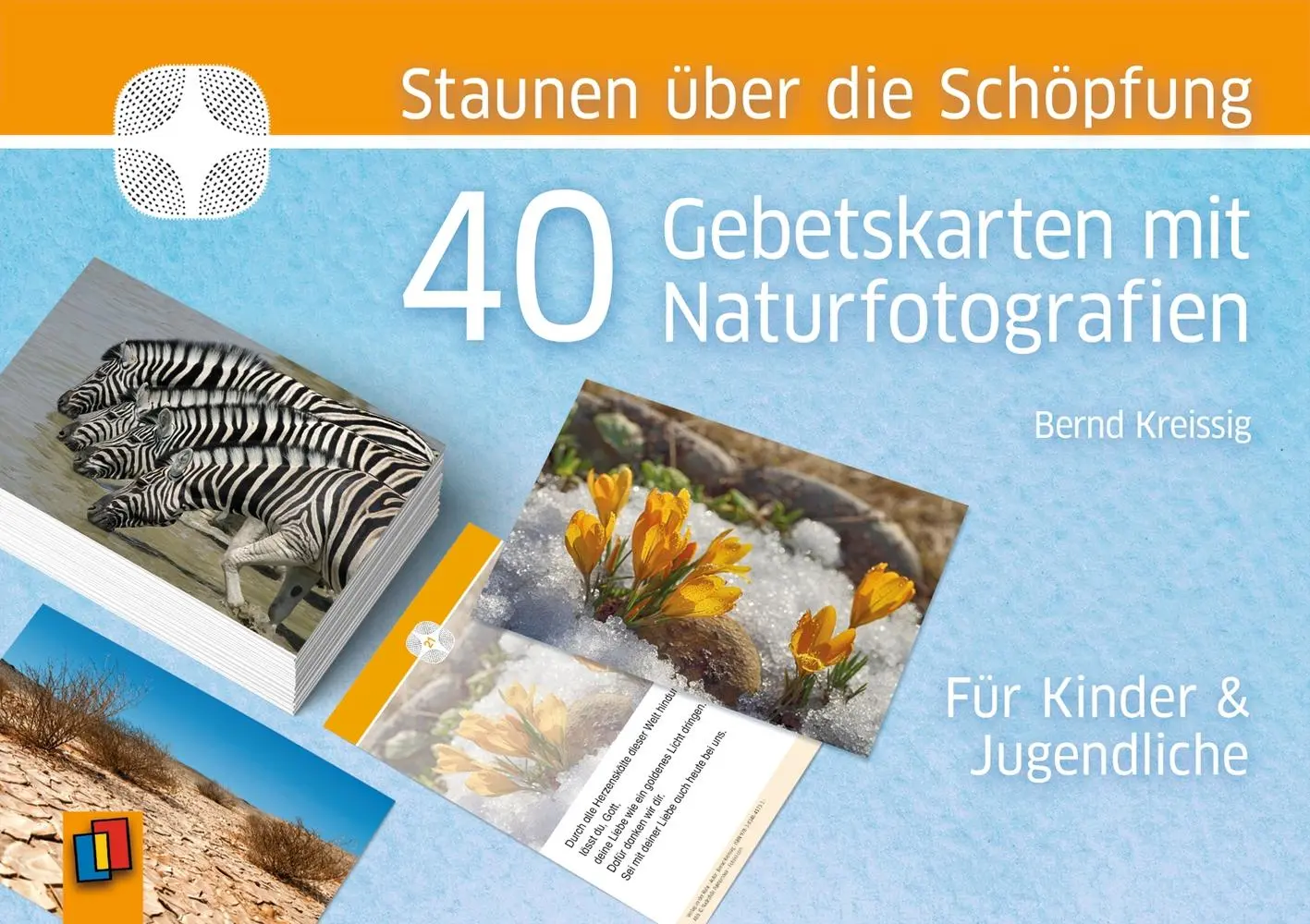Cover: 9783834641731 | Staunen über die Schöpfung | Bernd Kreissig | Box | 40 S. | Deutsch