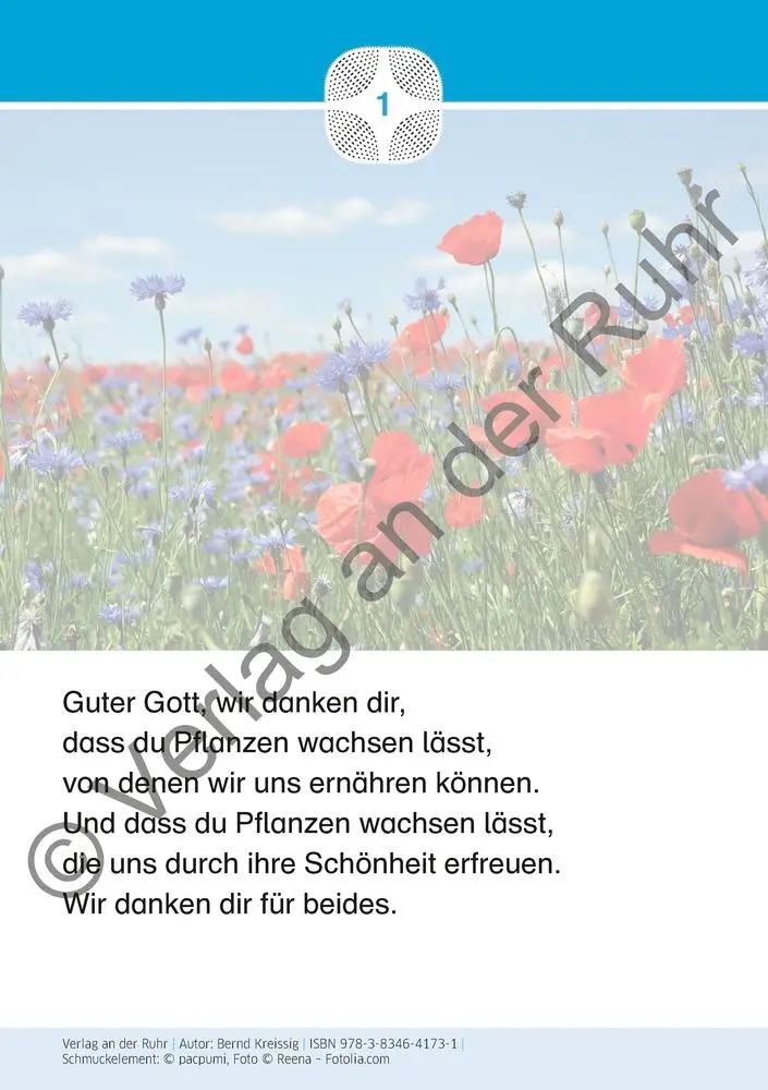 Bild: 9783834641731 | Staunen über die Schöpfung | Bernd Kreissig | Box | 40 S. | Deutsch