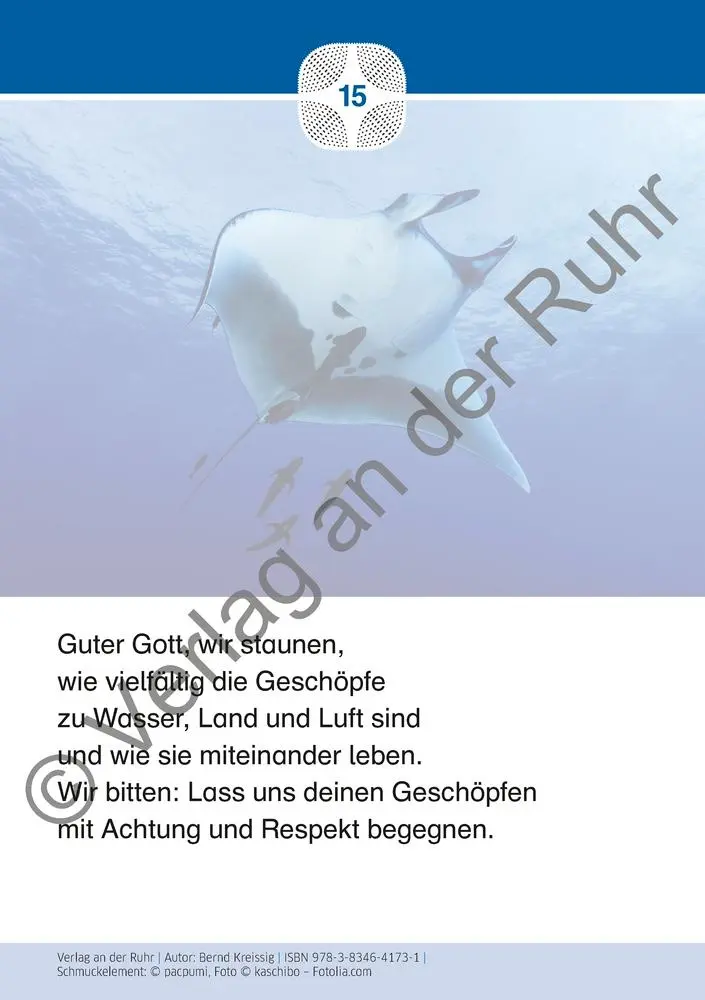 Bild: 9783834641731 | Staunen über die Schöpfung | Bernd Kreissig | Box | 40 S. | Deutsch