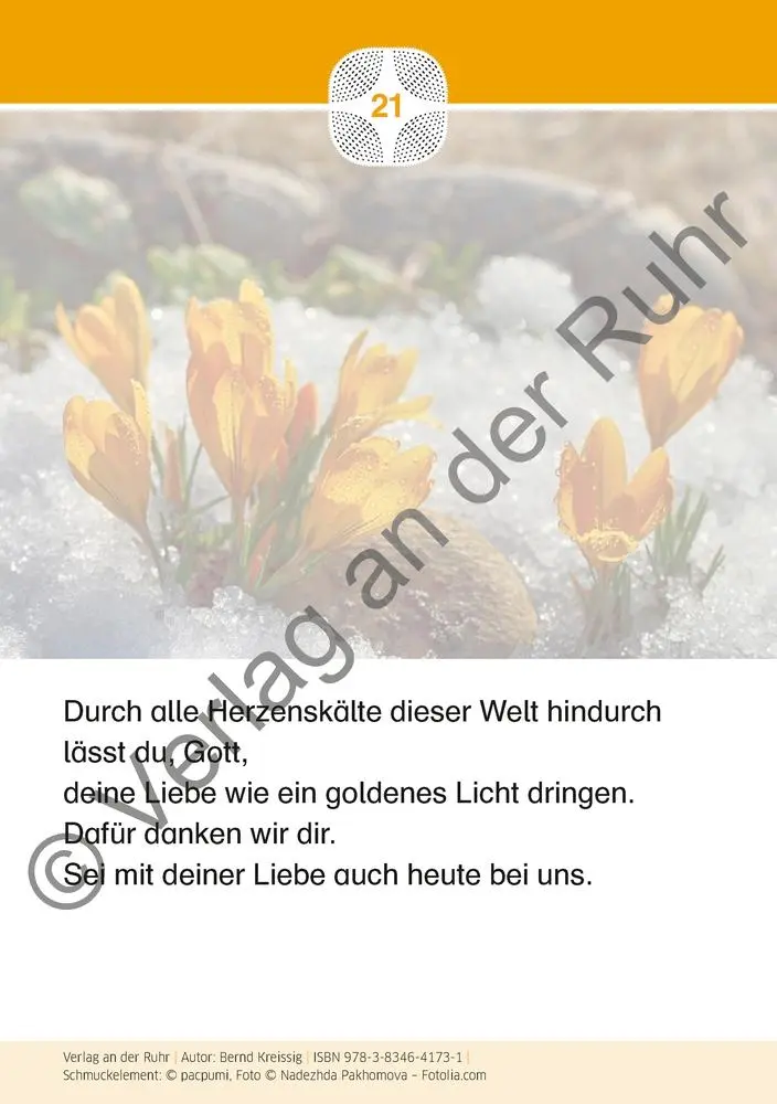 Bild: 9783834641731 | Staunen über die Schöpfung | Bernd Kreissig | Box | 40 S. | Deutsch