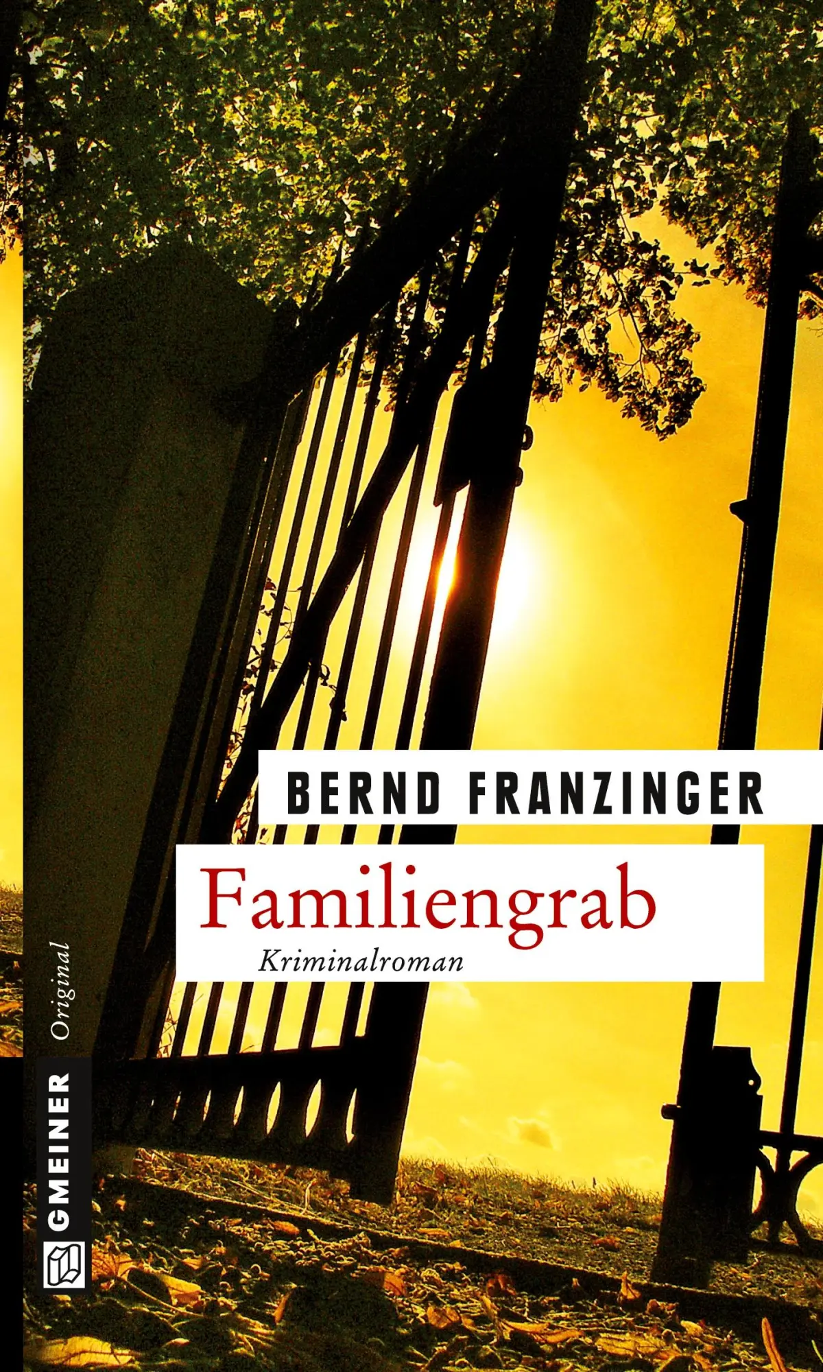 Cover: 9783839211731 | Familiengrab | Bernd Franzinger | Taschenbuch | 384 S. | Deutsch