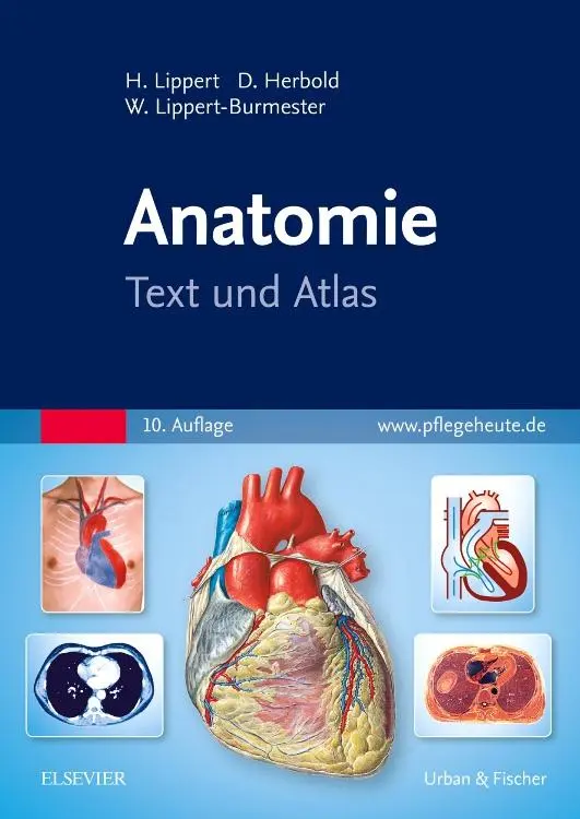 Cover: 9783437261831 | Anatomie | Text und Atlas | Herbert Lippert (u. a.) | Taschenbuch | VI