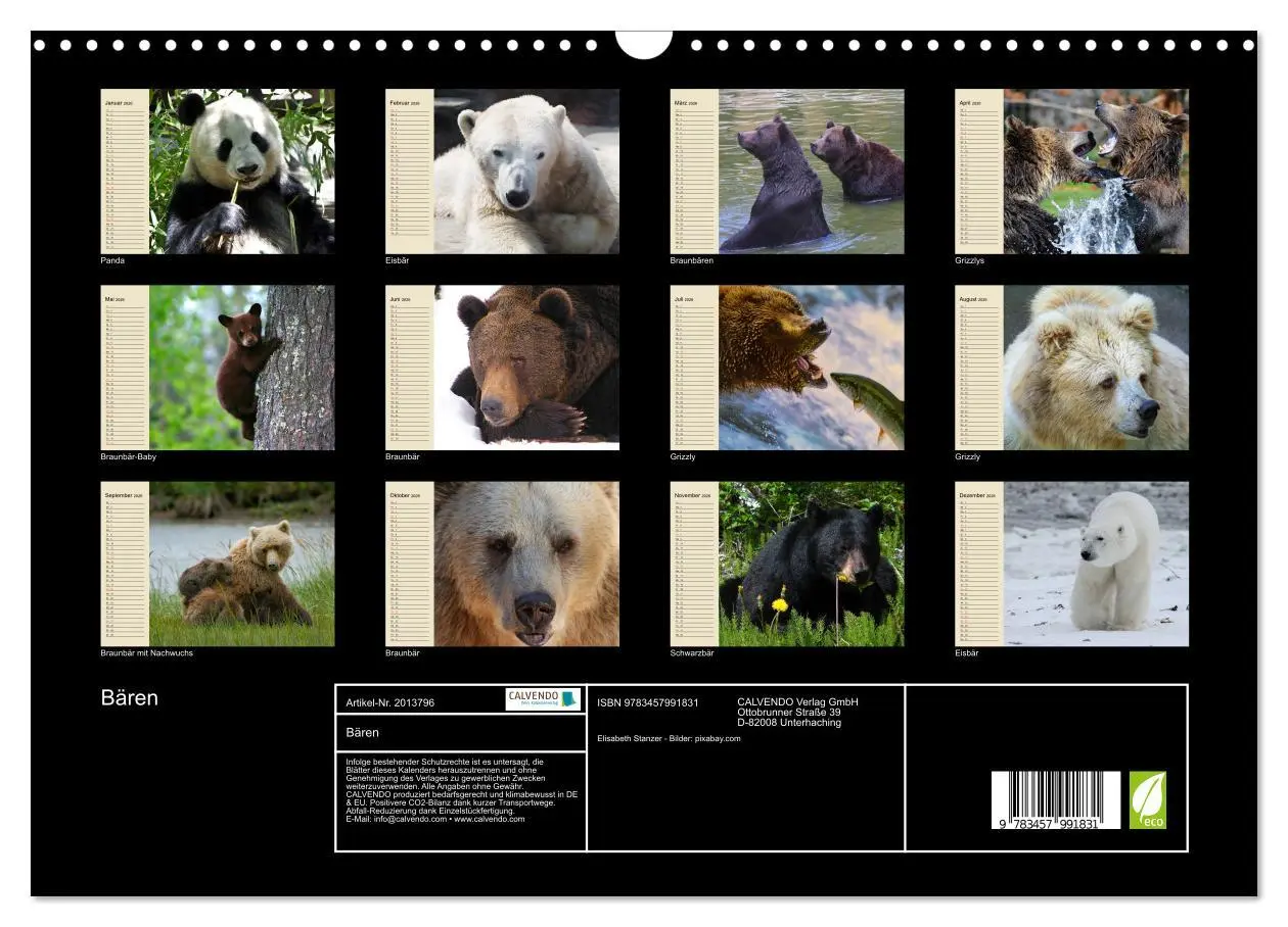 Bild: 9783457991831 | Bären (Wandkalender 2026 DIN A3 quer), CALVENDO Monatskalender | 2026