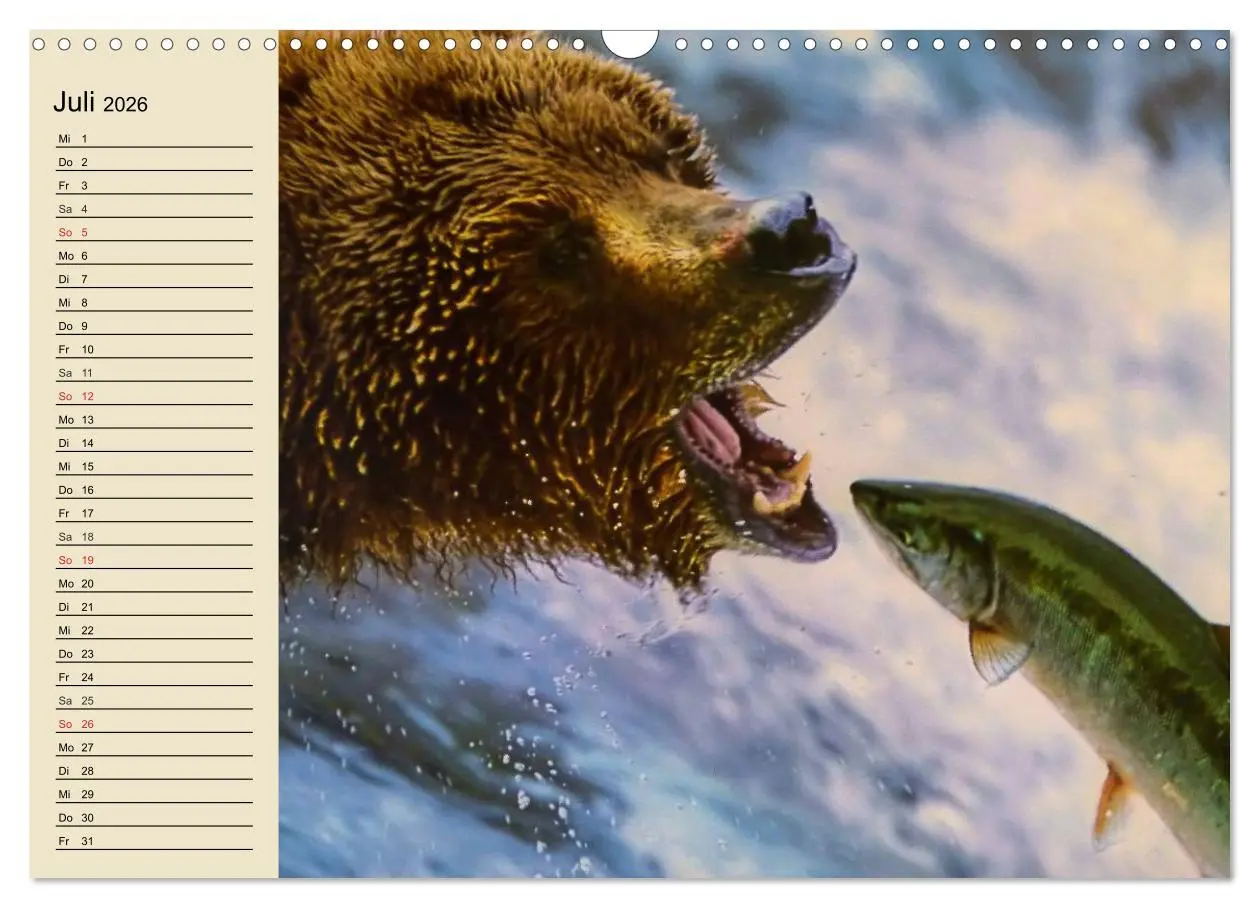 Bild: 9783457991831 | Bären (Wandkalender 2026 DIN A3 quer), CALVENDO Monatskalender | 2026