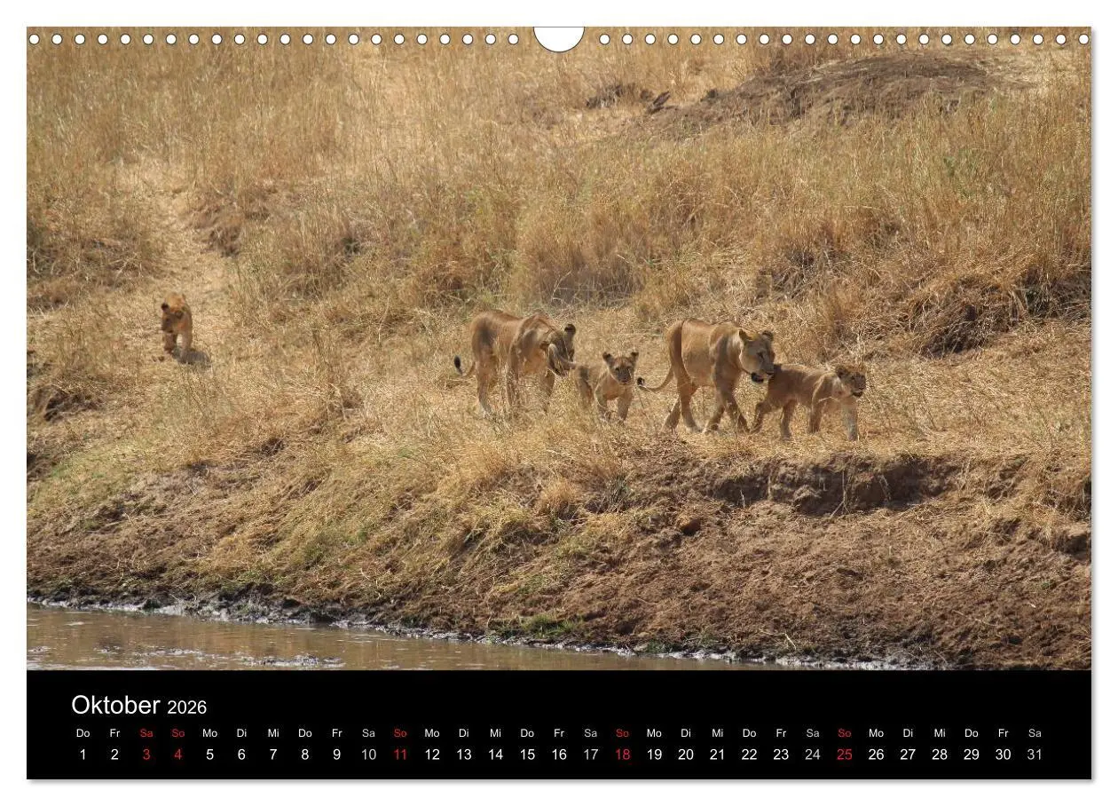 Bild: 9783516151831 | Tansania (Wandkalender 2026 DIN A3 quer), CALVENDO Monatskalender