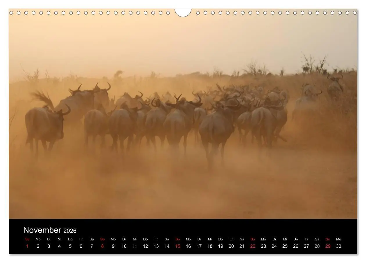 Bild: 9783516151831 | Tansania (Wandkalender 2026 DIN A3 quer), CALVENDO Monatskalender