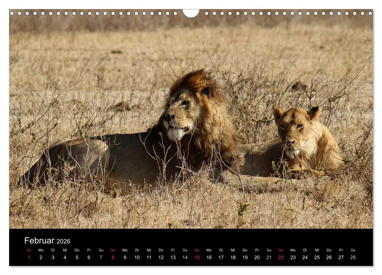 Bild: 9783516151831 | Tansania (Wandkalender 2026 DIN A3 quer), CALVENDO Monatskalender