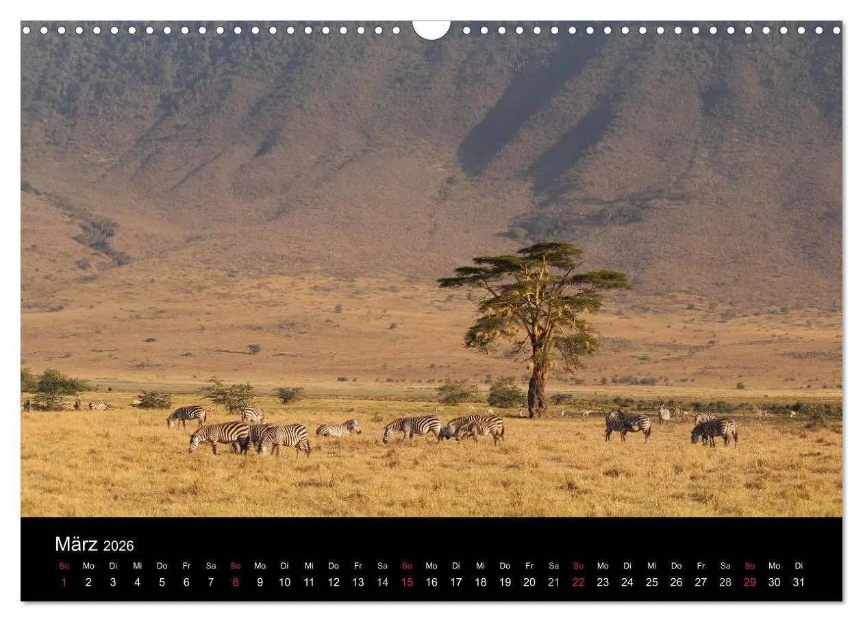Bild: 9783516151831 | Tansania (Wandkalender 2026 DIN A3 quer), CALVENDO Monatskalender