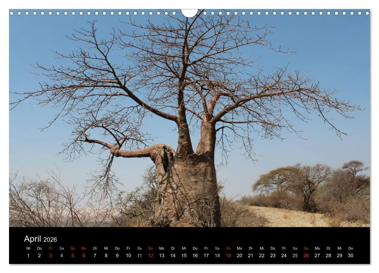 Bild: 9783516151831 | Tansania (Wandkalender 2026 DIN A3 quer), CALVENDO Monatskalender